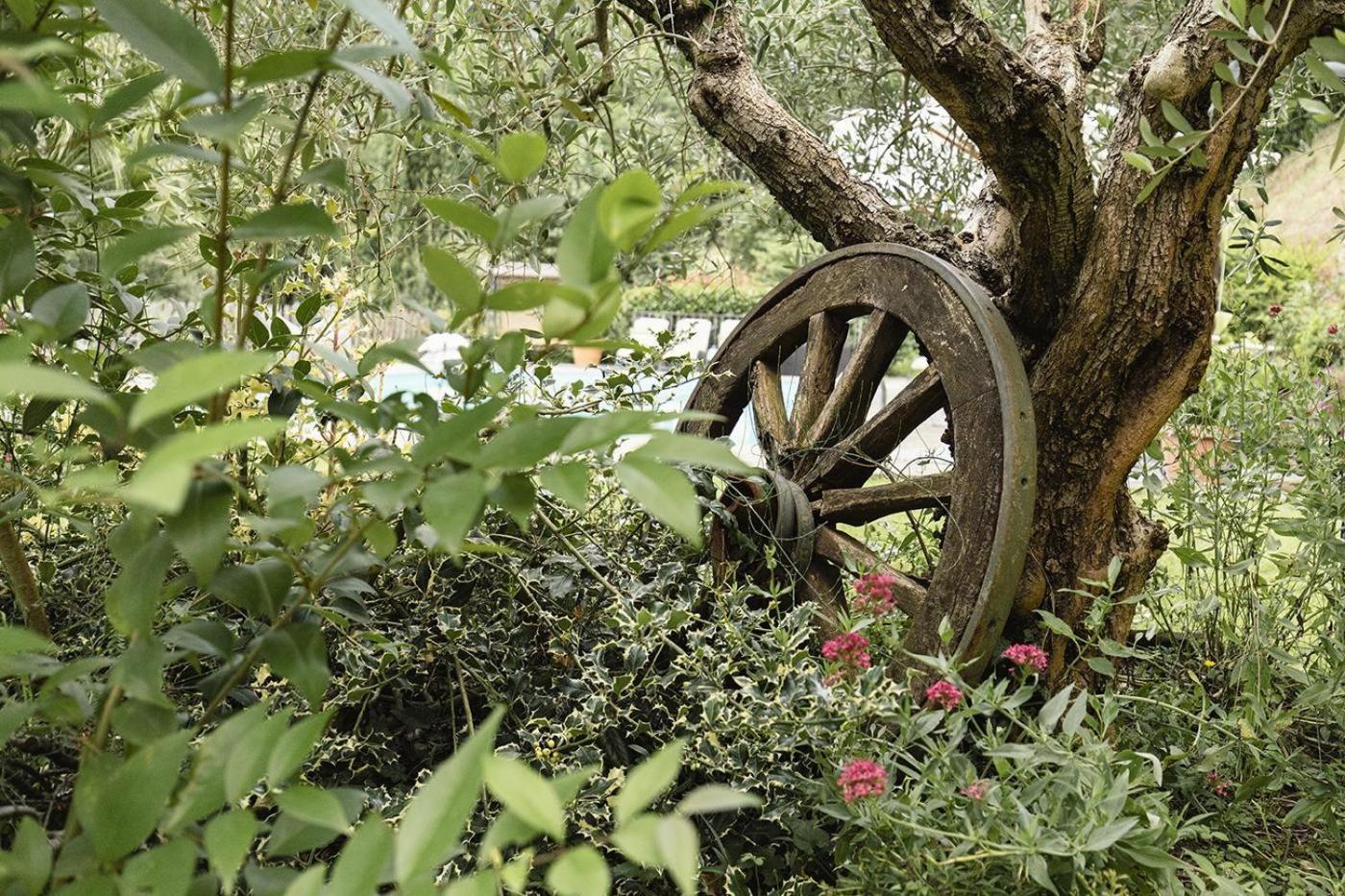 Agriturismo L'Essiccatoio Lisciano Niccone Eksteriør billede